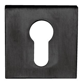 Cilinderrozet - vierkant - zwart rvs